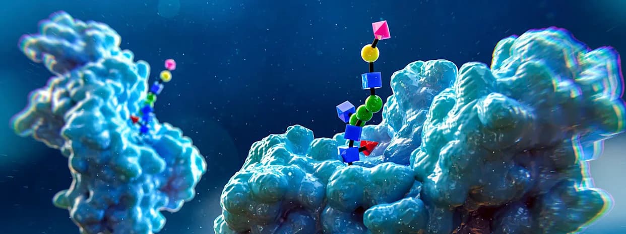 Slatko, ali moćno: Kako glikani oblikuju zdravlje ćelija