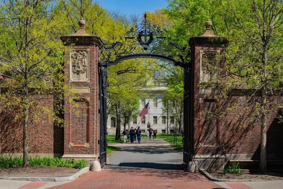 QS 2026: SAD Predvode Rangiranje Po Predmetima — Harvard Najviše Prvih Mesta, MIT Ima 12