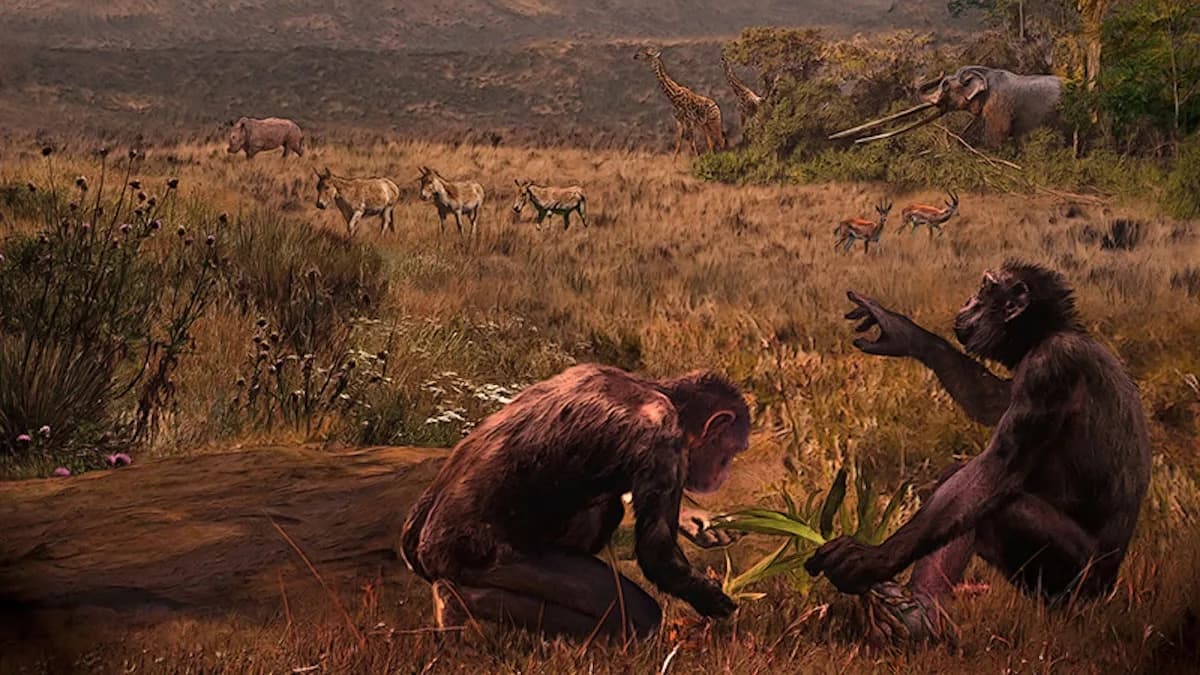 Femur Star 7,2 Miliona Godina Iz Bugarske: Da Li Je Graecopithecus Bio Rani Hominin?