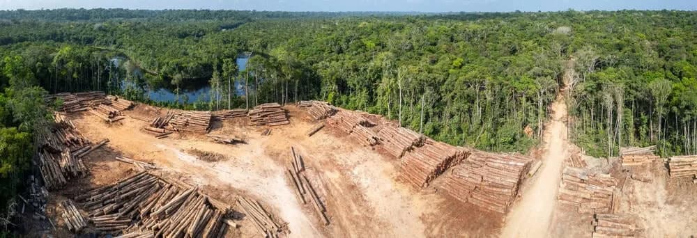 Novi alat otkriva rane znake genetskog kolapsa kod divljih životinja — upozorenje pre nego što bude prekasno