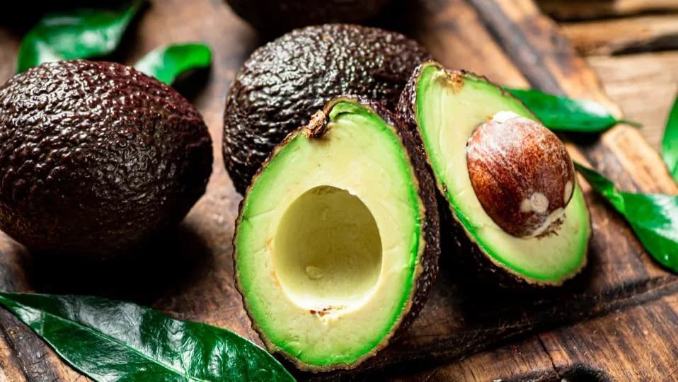 Upoznajte džinovske lenjivce koji su oblikovali avokado — kako su izumrli disperzeri ostavili voće kao vremensku kapsulu