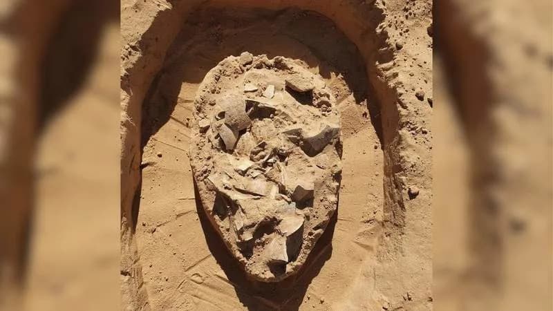 Pronađena Zbirka Nojevih Jaja Stara Oko 7.000 Godina Pored Ognjišta u Nitzani