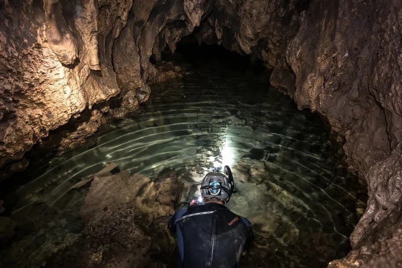 Lavovska Oklopnica i Divovske Kornjače: Neočekivani Fosili Iz Ledenog Doba U Benderovoj Pećini (Centralni Teksas)