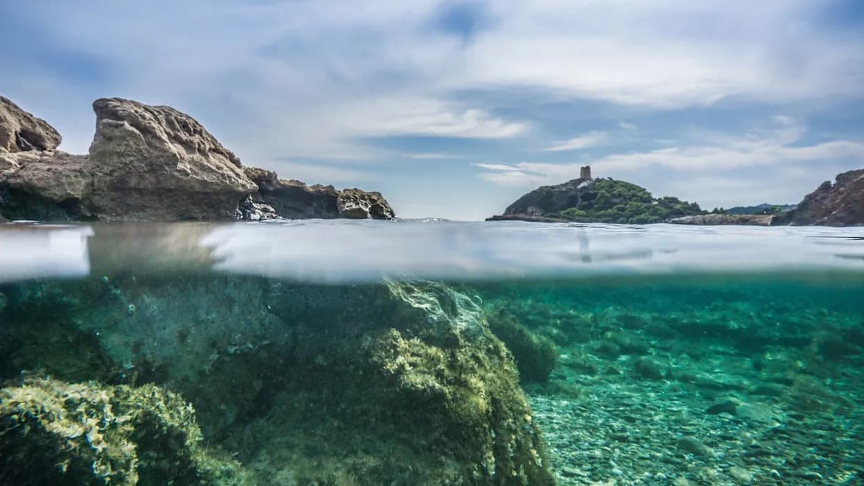 Dok su gradili veštačko ostrvo: fragmenti lobanje Homo erectusa otkrivaju potopljeni svet Sundalanda