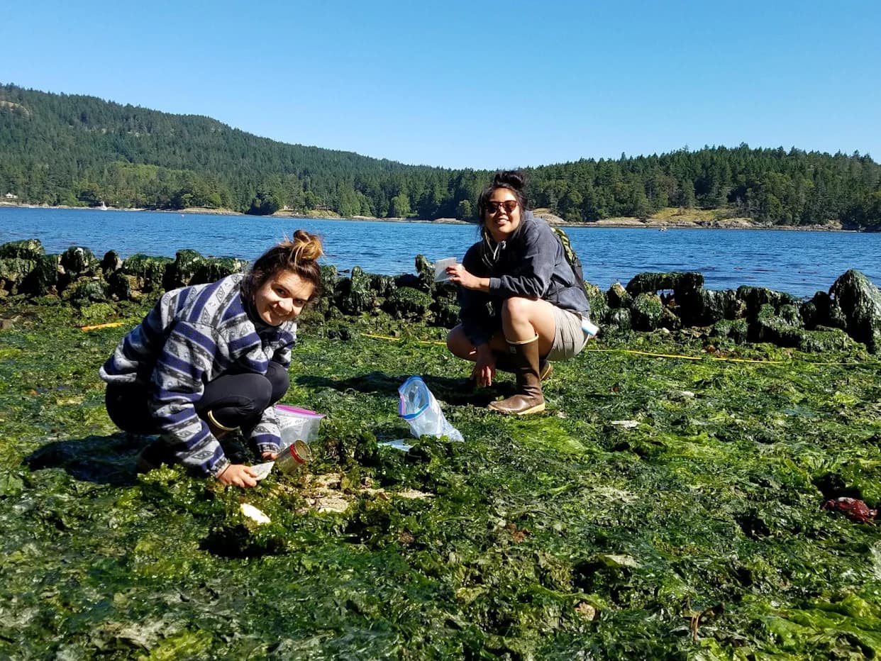 Pletenje znanja: Kako domorodačko iskustvo i zapadna nauka zajedno obnavljaju obale i hranu