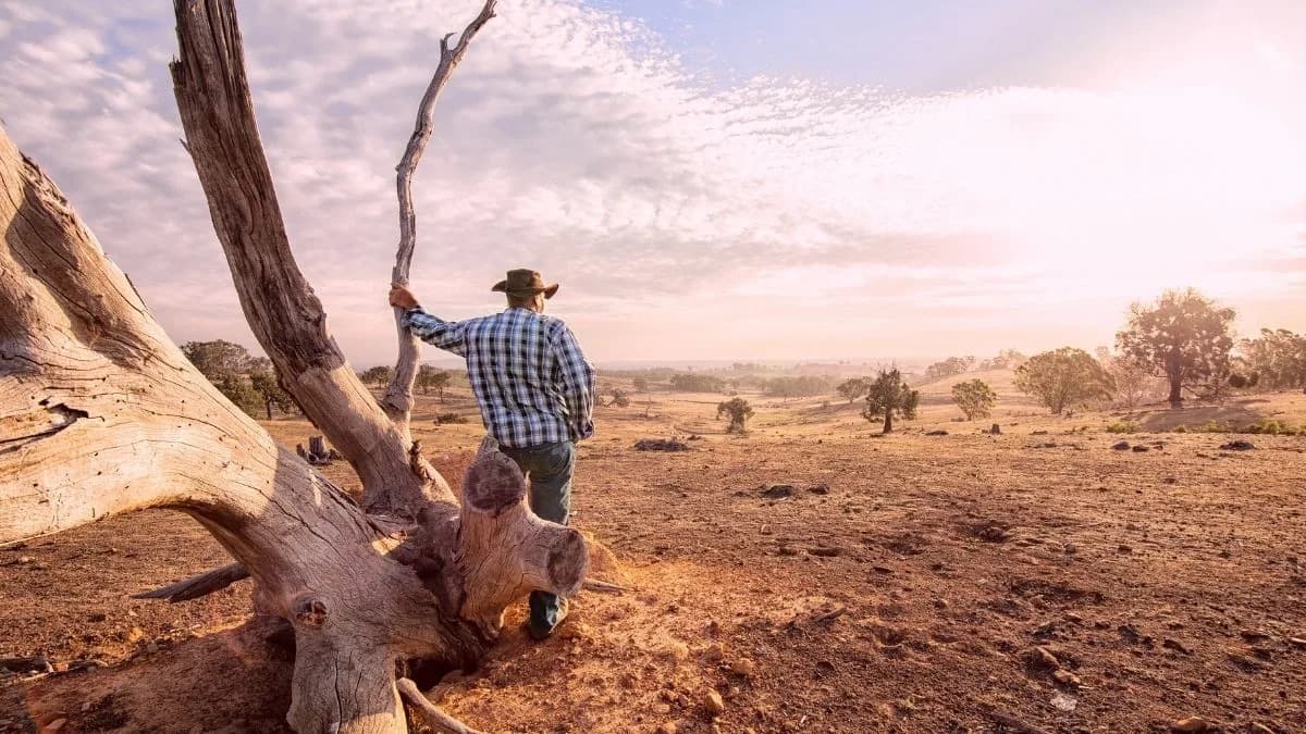 Suše Podižu Rizik Od Bakterija Otpornih Na Antibiotike, Pokazuje Studija