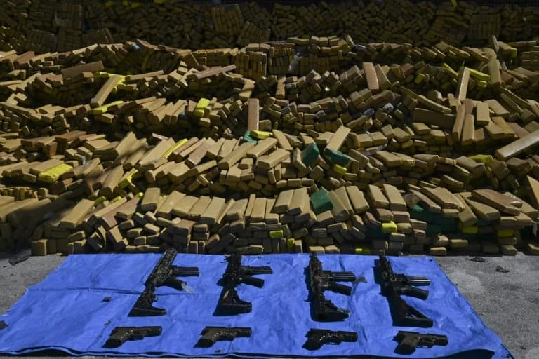 Policijski pas Hulk otkrio rekordnu zaplenu: 48 tona marihuane u Complexo da Maré