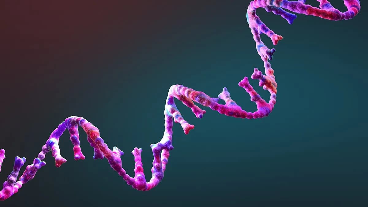 Otkriven QT45 — mala molekula RNA koja se skoro samoreplicira