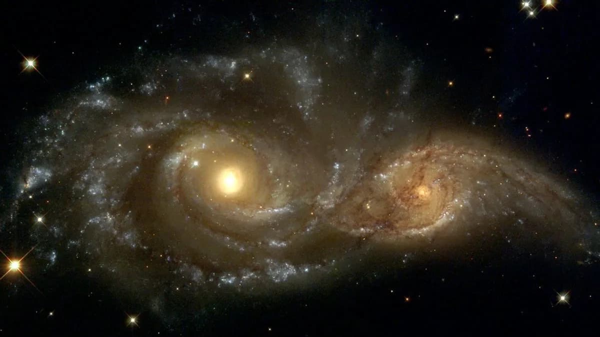 Pepeo pod mikroskopom: Da li zaista izgleda kao galaksije? Istina o radovima Gabriela Reyes Fuchs