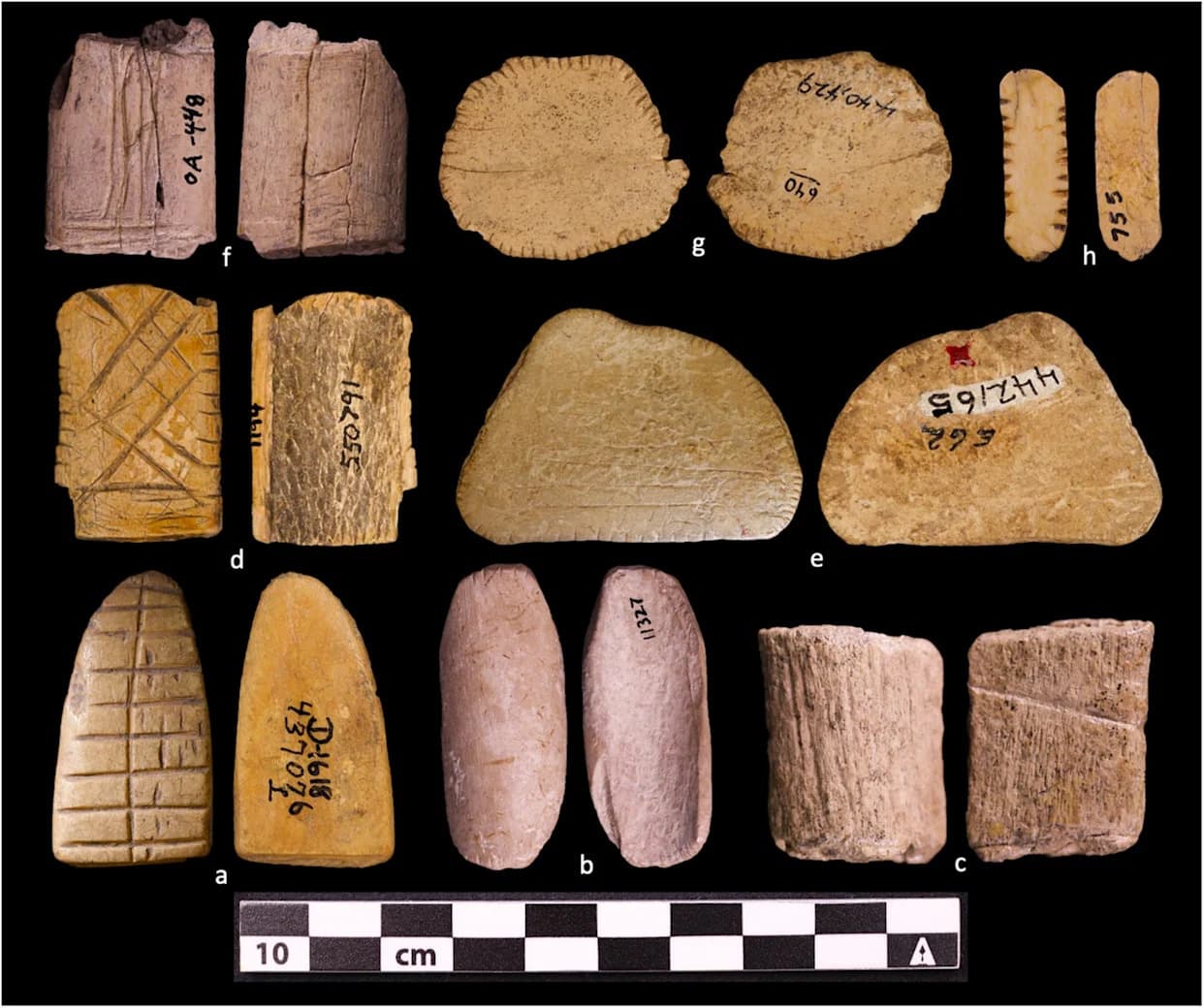 Džekpot! Najstarije Kockice Na Svetu Otkrivene U Severnoj Americi — Pre 12.000 Godina