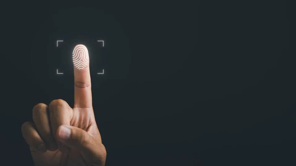 Više od biometrije: Zašto ljudi imaju otiske prstiju