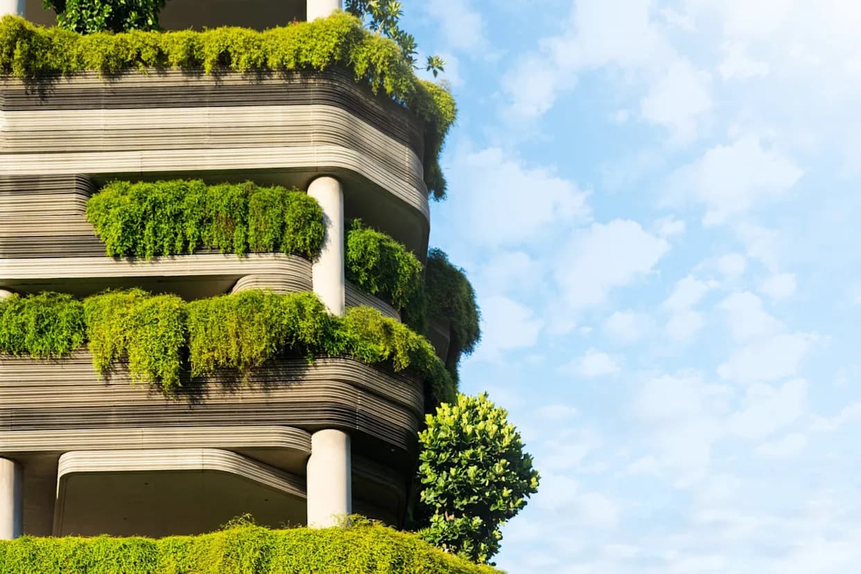 Možemo Li Dizajnirati Gradove Koji Leče Mozak? Neuroarhitektura i Biofilni Dizajn