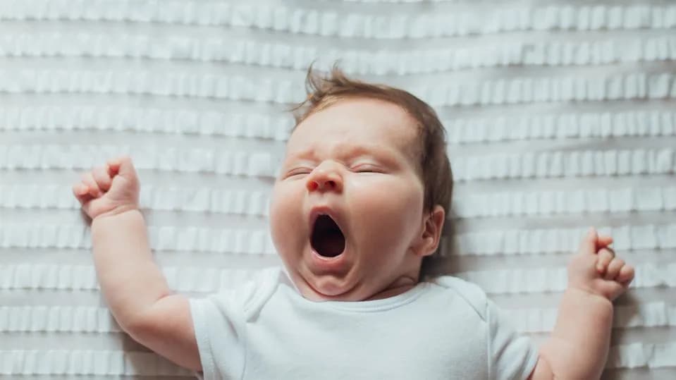 Zašto Zevamo? Biolog Objašnjava: Nije Samo Kiseonik — Zevanje Hladi Mozak I Povezuje Nas