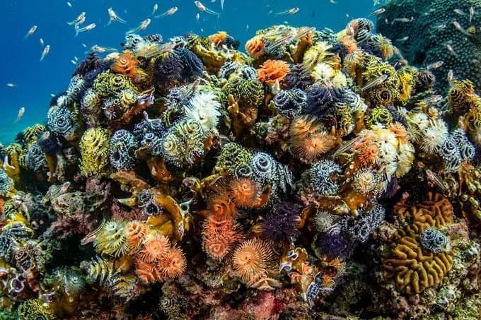 9 Zapanjujućih Otkrića O Zemlji Koja Menjaju Naš Pogled Na Planet