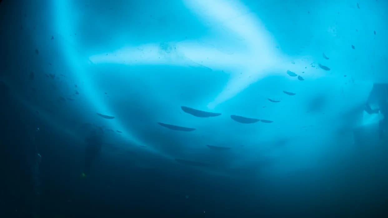 Torpedo-roboti otkrivaju skrivenu toplotu ispod Antarktika i objašnjavaju nagli pad morskog leda