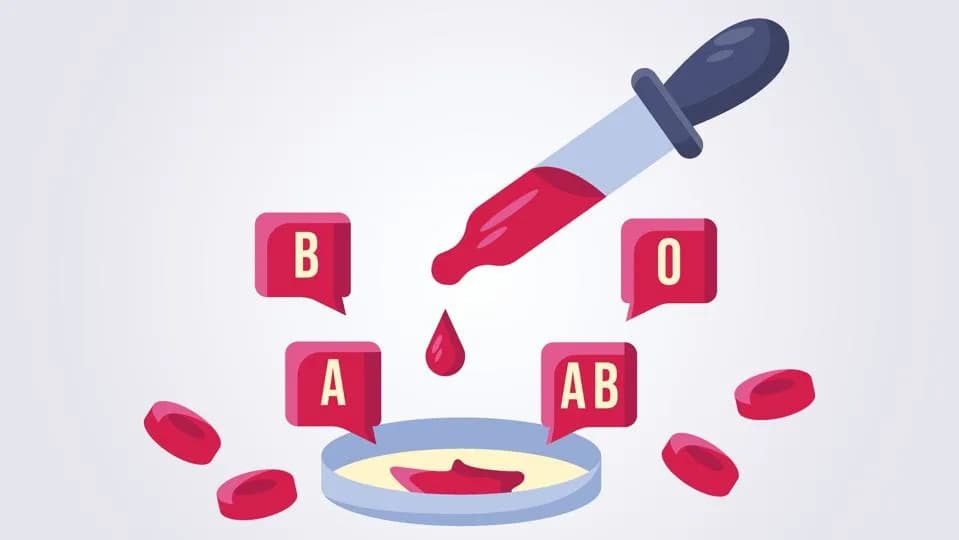 Zašto Postoje Krvne Grupe? Drevna Evolucija, Imunitet i Naučna Neizvesnost