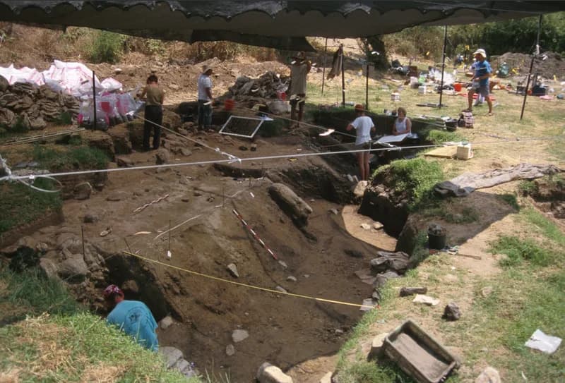 Antički ugljen iz Izraela: kako su rani ljudi kontrolisali vatru pre ~780.000 godina