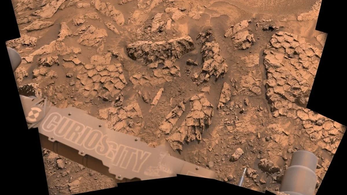 Curiosity Otkrio 'Saćaste' Poligone Na Marsu — Moguć Trag Ciklične Vode