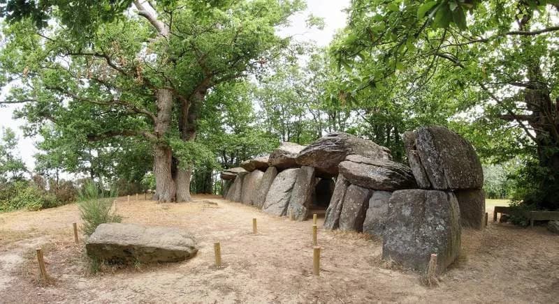 DNK Otkriva Masovni Kolaps Neolitskog Stanovništva kod Pariza i Potpunu Promenu Zajednice