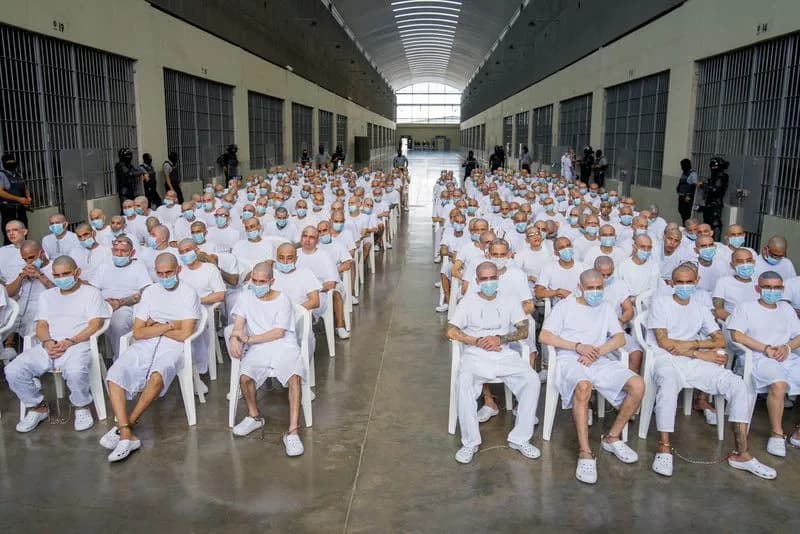 El Salvador Pokrenuo Masovni Proces Protiv 486 Navodnih Članova MS-13