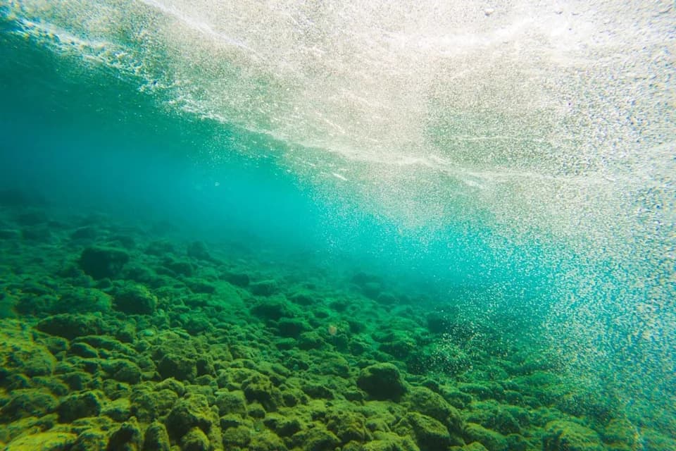 Nije Ti Se Činilo: Okean Postaje Zeleniji — Šta To Znači i Zašto Se Dešava