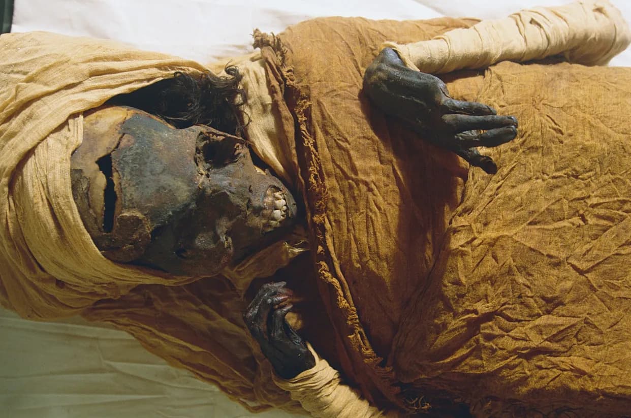 U Mumiji Pronađen Fragment Homerske Ilijade — Papirus Sa "Katalogom Brodova" Otkriven U Al‑Bahnasi