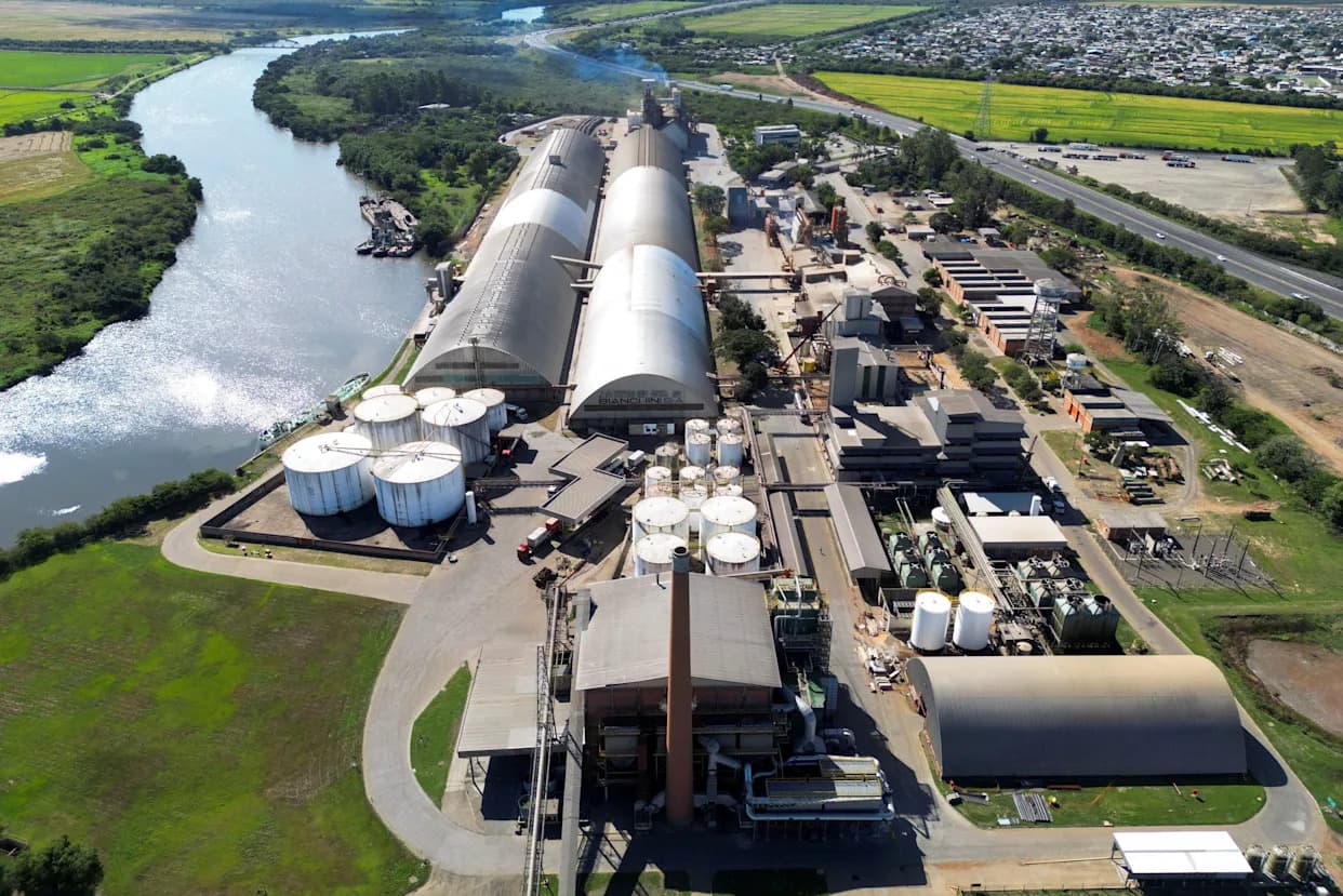 Zašto biogoriva ponovo dolaze u fokus — prilika za energiju ili nova ekološka opasnost?