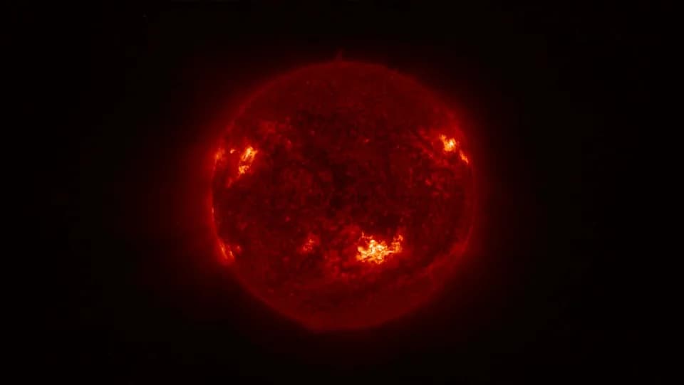 Fosilizovani magnetizam otkriva kako magnetna polja crvenih divova postaju vidljiva na belim patuljcima — šta to znači za Sunce?