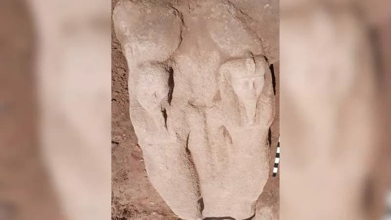 Otkrivena delimična statua Ramzesa II u Tel Faraonu — 5–6 tona, visina ~2,20 m