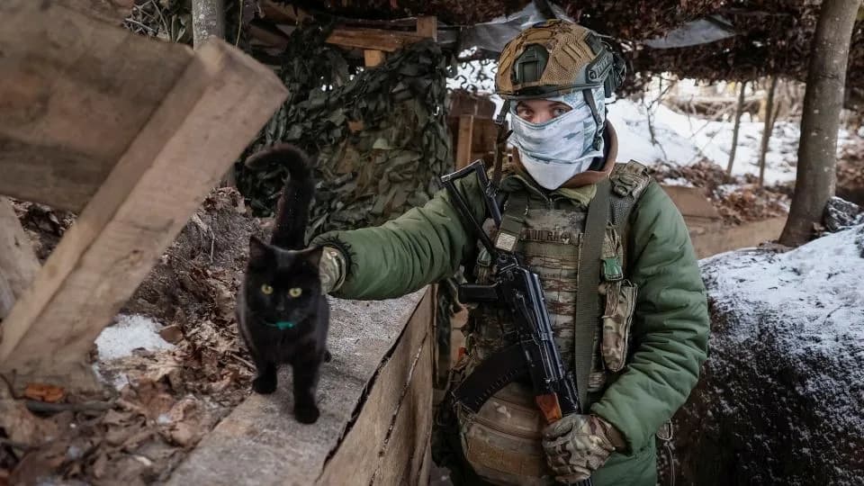 Dronom spaseni Barsik i Zagybluk — mačka i pas evakuisani sa prve linije
