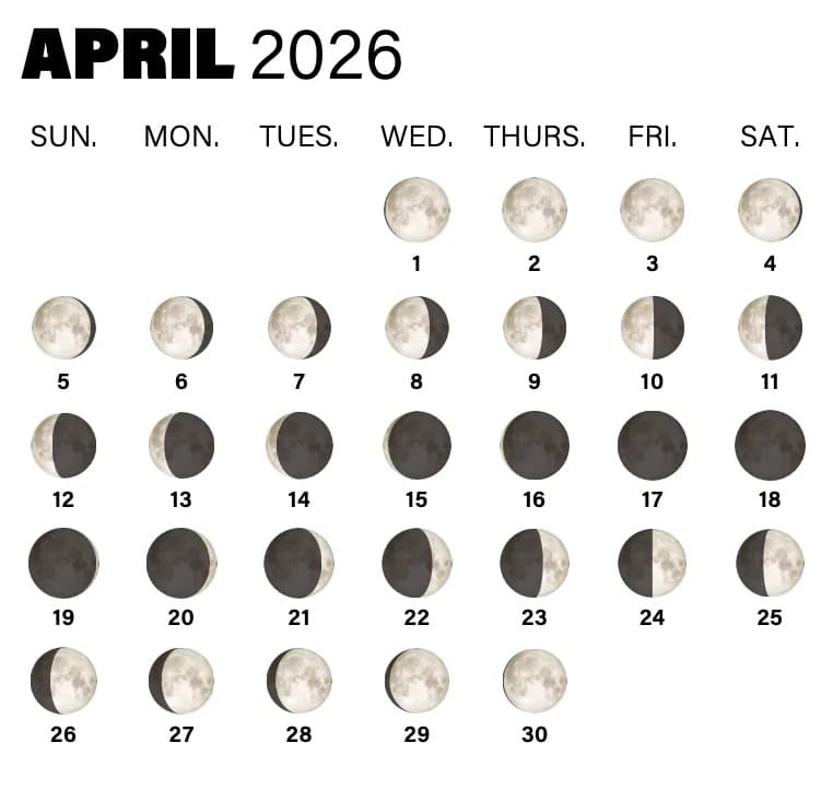 Kalendar Punih Meseca 2026: Kada Posmatrati Flower Moon (1. maj) i Ostale Faze