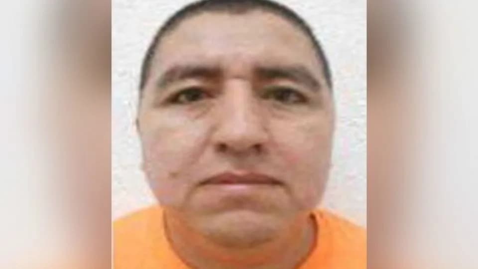 El Jardinero Uhapšen u Nayaritu: Šta Znamo O Meksičkom Operativcu CJNG-a