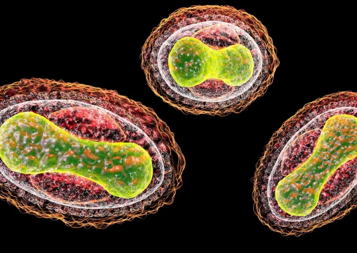 Vodeći AI Modeli Pokazuju Kako Bi Se Mogle Napraviti Biološke Pretnje — Izveštaji Stanforda, MIT‑a i Microsofta