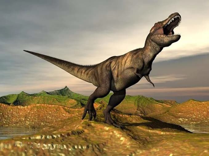 T. rex Hodao Kao Ptica — Novo Istraživanje Pokazuje Da Je Koračao Na Prstima