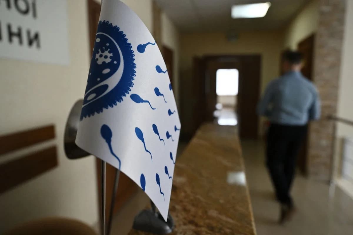 Proboj u muškoj kontracepciji: molekul JQ1 privremeno zaustavlja spermogenezu kod miševa
