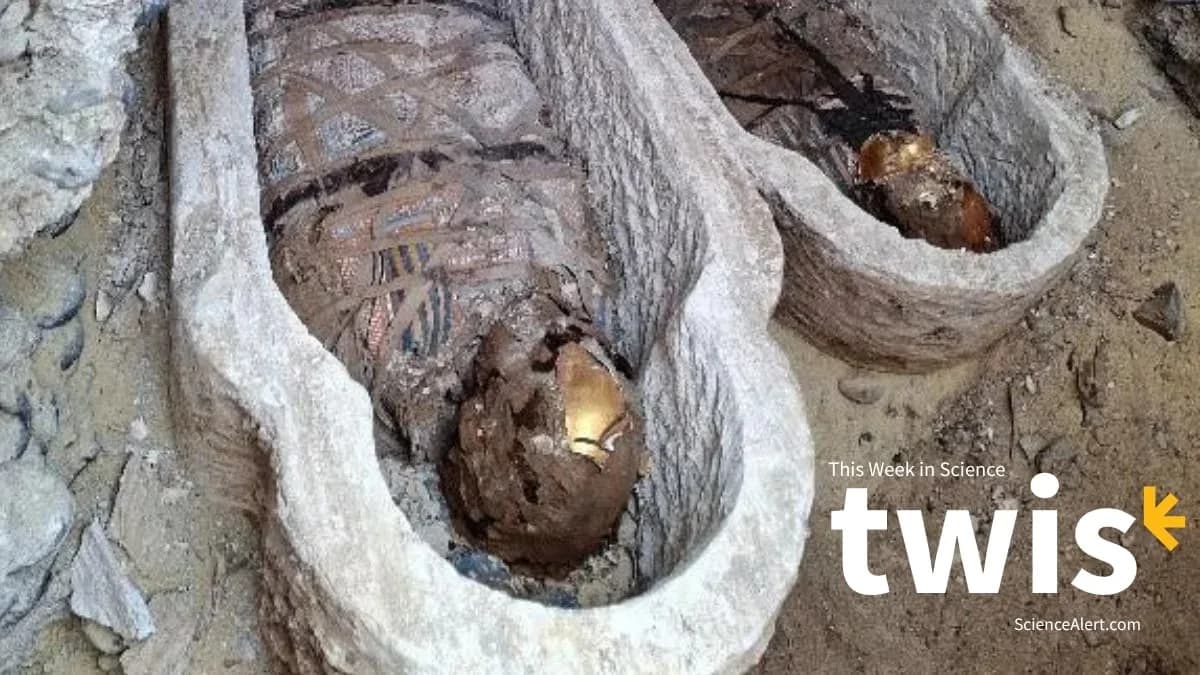 Nedeljni naučni pregled: Attenborough 100, mumija iz Ilijade, antitela protiv EBV i neočekivana atmosfera