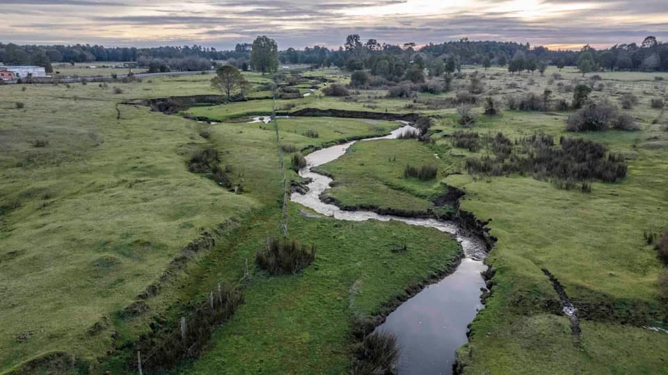 Kontroverza oko Monte Verde: 30 istraživača oštro osporilo studiju koja preispituje starost nalazišta