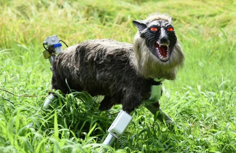 Robotski „Monster Wolf” iz Japana u velikoj potražnji nakon smrtonosnih napada medveda
