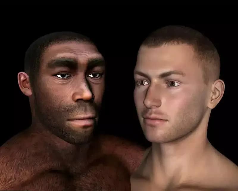 Proteini iz zuba otkrivaju neočekivane veze između istočnoazijskog Homo erectus-a, denisovana i modernih ljudi