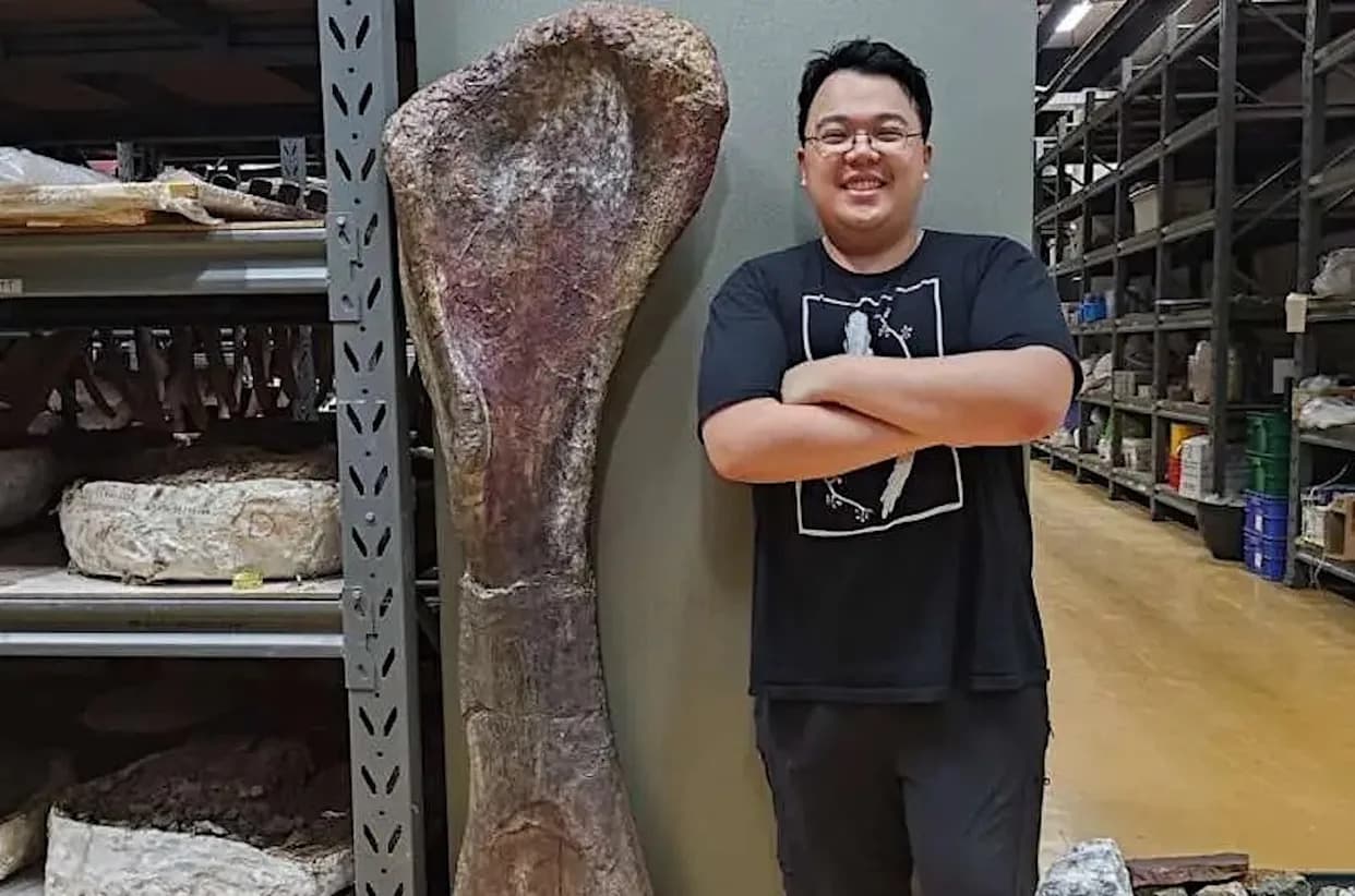 Nagatitan Chaiyaphumensis: Mogao Najveći Dinosaur Otkriven U Jugoistočnoj Aziji