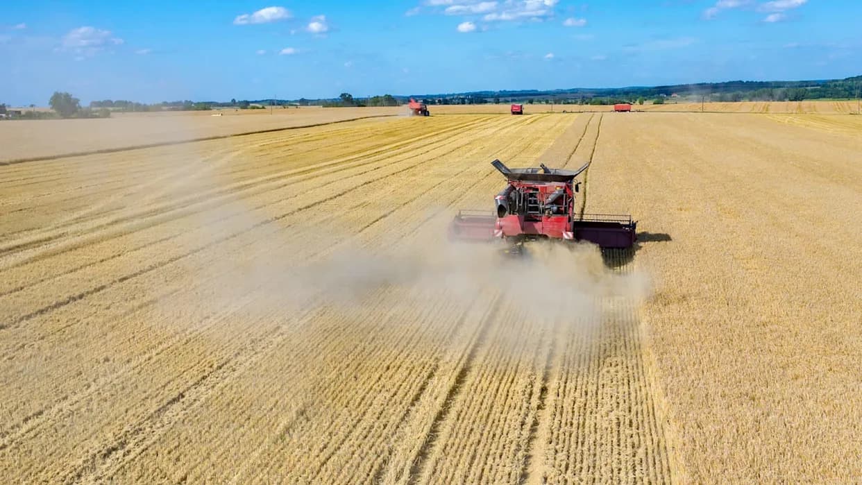 USDA: Žetva Pšenice U SAD Najniža Od 1972. — Suša Na Great Plains I Pomak Prema Soji