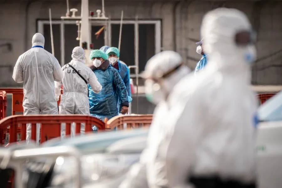 Studija: Hantavirus Može Ostati U Semenu Godinama — Šta Znači Izbijanje Na MV Hondius?