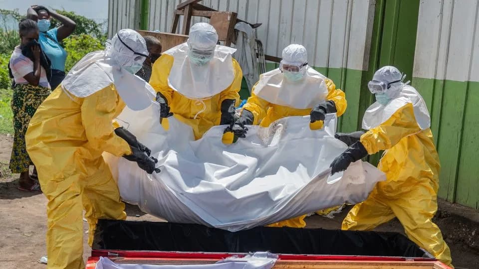 Ebola u DR Kongo: Kako bushmeat, pogrebni običaji i dezinformacije pogoršavaju širenje retkog Bundibugyo soja
