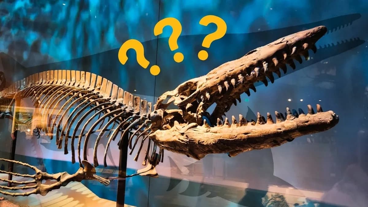 Div Iz Dubina: Tylosaurus rex — Novi Predator Otkriven U Muzejskoj Kolekciji