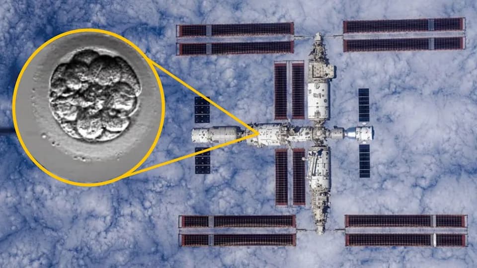 Kina Poslala „Veštačke Ljudske Embrione“ u Svemir — Ispituju Uticaj Mikrogravitacije i Zračenja