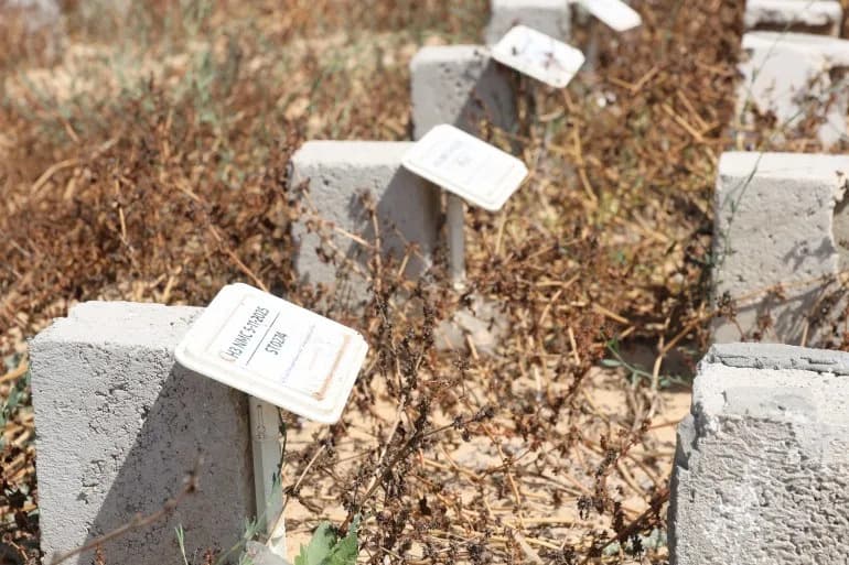 Grobovi Sa Brojevima: Majka Traži Nestalog Muža U „Groblju Nestalih“ U Deir el‑Balah