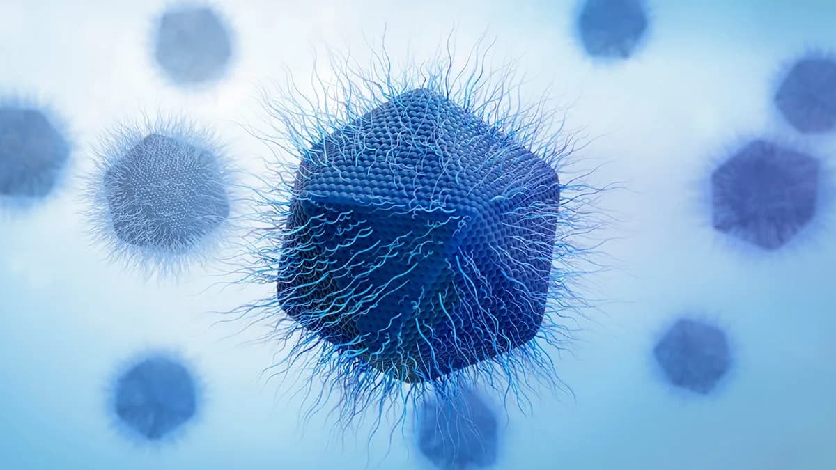 Otkriven 'furtivovirus' — Džinovski Virus Koji Se Replicira Na Dosad Neviđen Način