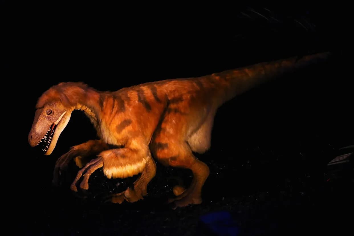 Izumiranje: Kakvi Su Bili Uslovi Na Zemlji Kada Je Asteroid Ugasio Dinosaure?