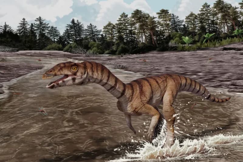 Otkriven <i>Labrujasuchus expectatus</i> — Bezzubi, Dvonožni „krokodilski“ Reptil Koji Je Ličio Na Noja