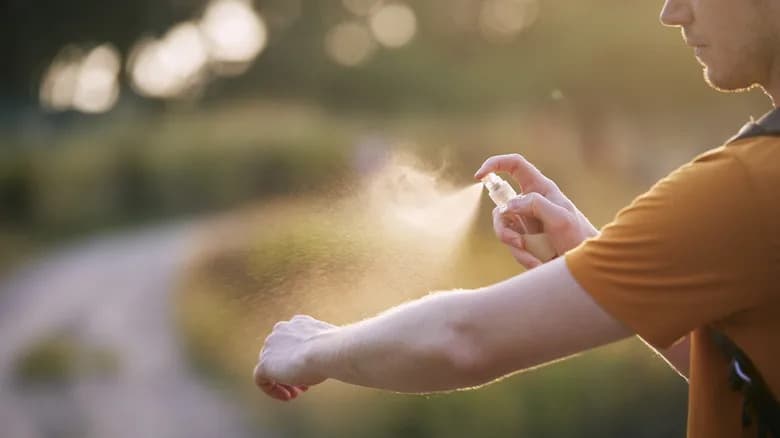 Nova studija: Komarci mogu naučiti da miris DEET‑a znači hranu — šta to znači za vašu zaštitu